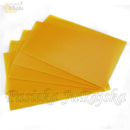 Węza pszczela Wielkopolska 1/2 NADSTAWKA 5.4